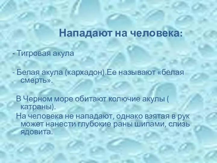 Нападают на человека: - Тигровая акула - Белая акула (кархадон).Ее