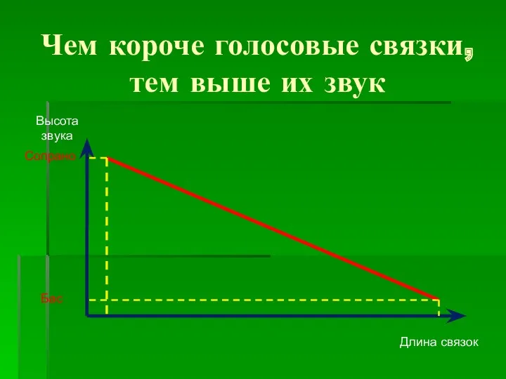 Чем короче голосовые связки, тем выше их звук Высота звука Сопрано Бас Длина связок