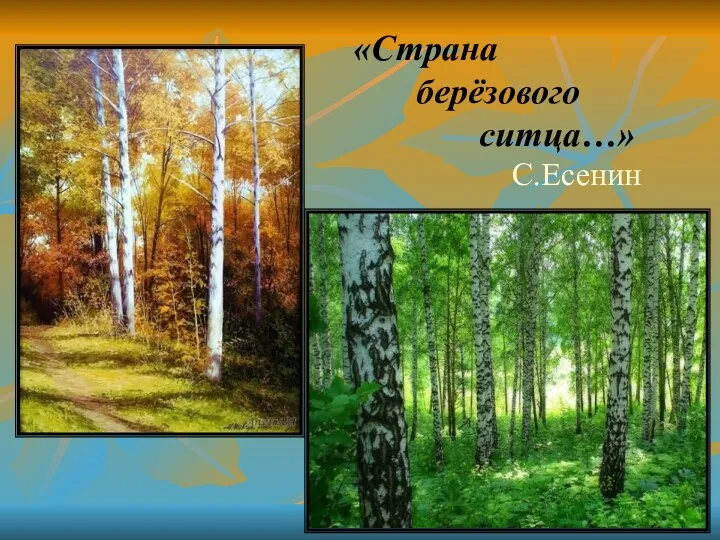 «Страна берёзового ситца…» С.Есенин