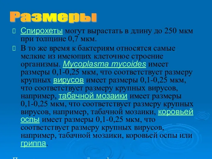 Спирохеты могут вырастать в длину до 250 мкм при толщине