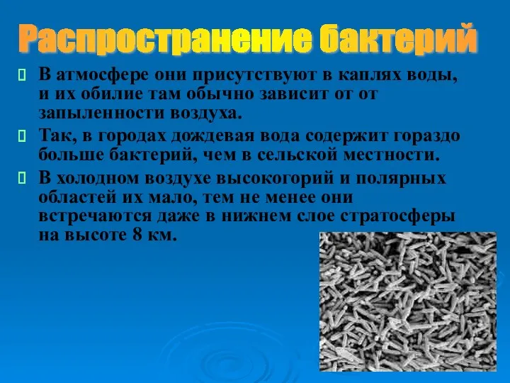 В атмосфере они присутствуют в каплях воды, и их обилие