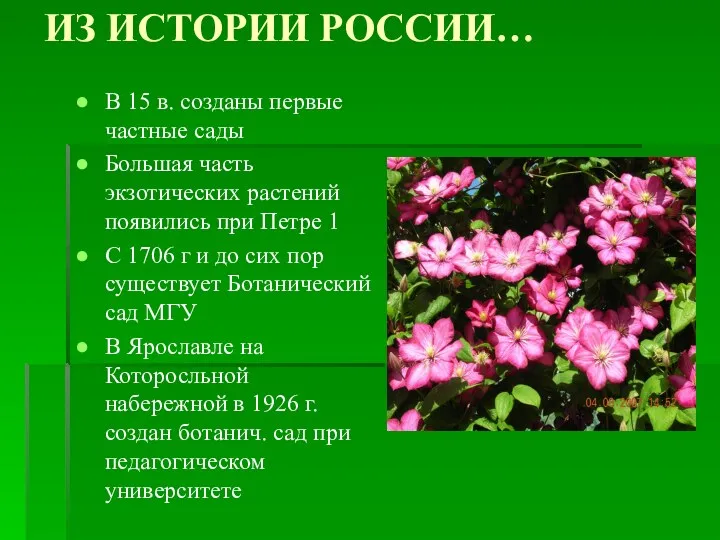 ИЗ ИСТОРИИ РОССИИ… В 15 в. созданы первые частные сады
