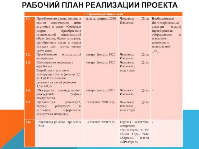 РАБОЧИЙ ПЛАН РЕАЛИЗАЦИИ ПРОЕКТА