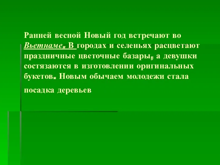 Ранней весной Новый год встречают во Вьетнаме. В городах и селеньях расцветают праздничные