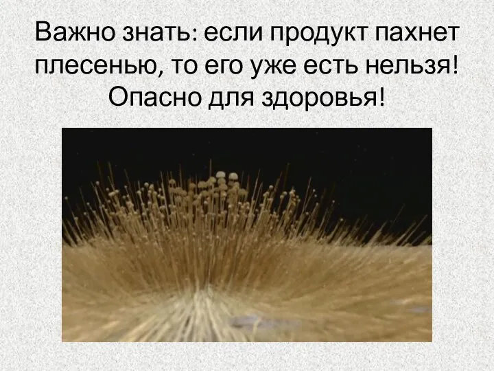 Важно знать: если продукт пахнет плесенью, то его уже есть нельзя! Опасно для здоровья!