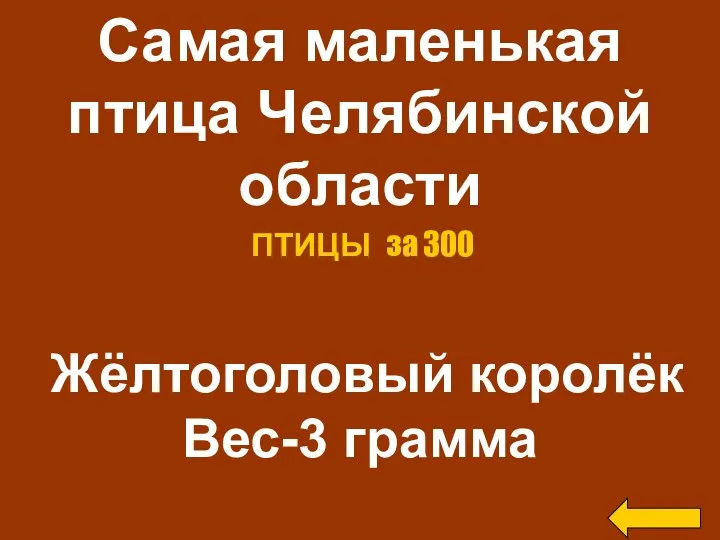 Самая маленькая птица Челябинской области Жёлтоголовый королёк Вес-3 грамма ПТИЦЫ за 300