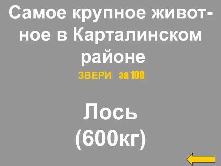 Самое крупное живот- ное в Карталинском районе Лось (600кг) ЗВЕРИ за 100