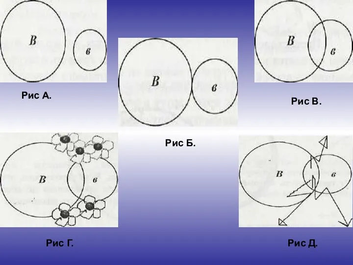 Рис А. Рис Б. Рис В. Рис Г. Рис Д.