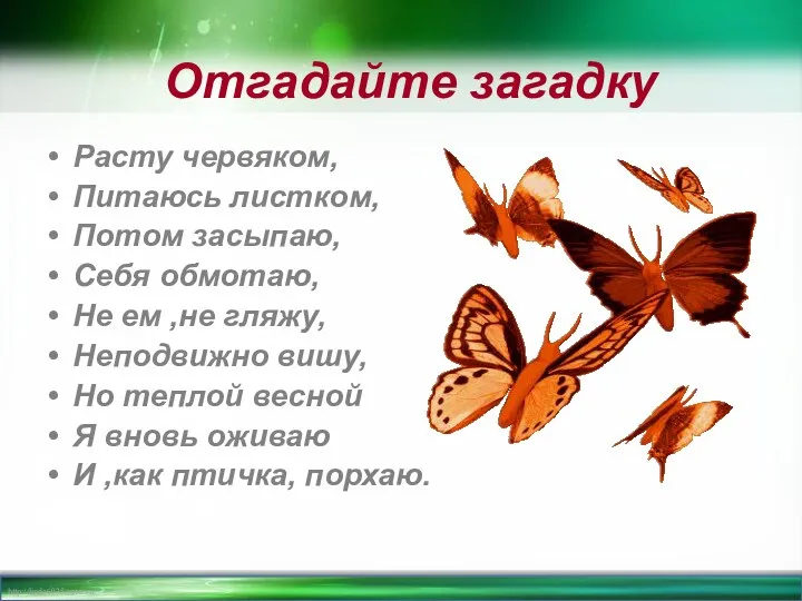 Отгадайте загадку Расту червяком, Питаюсь листком, Потом засыпаю, Себя обмотаю,