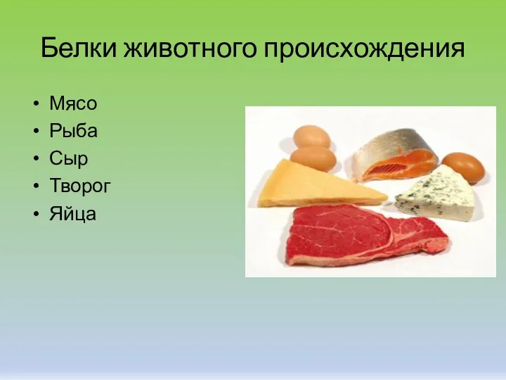 Белки животного происхождения Мясо Рыба Сыр Творог Яйца