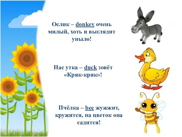 Ослик – donkey очень милый, хоть и выглядит уныло! Пчёлка