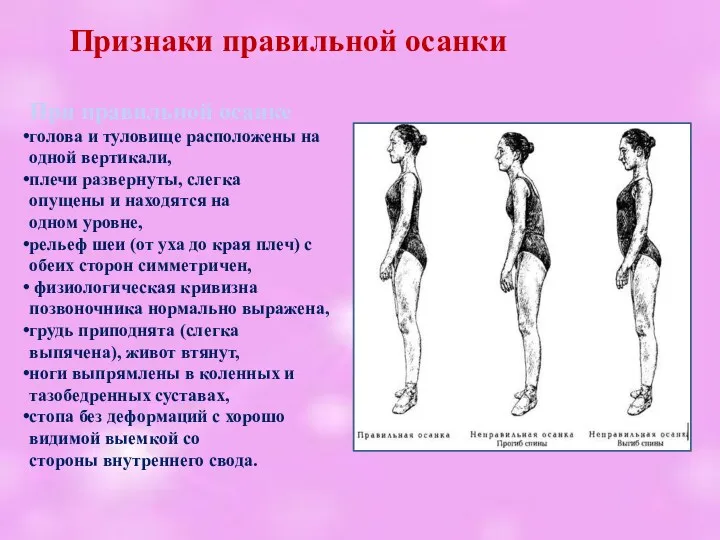 При правильной осанке голова и туловище расположены на одной вертикали,