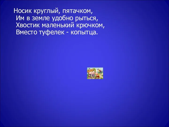 Носик круглый, пятачком, Им в земле удобно рыться, Хвостик маленький крючком, Вместо туфелек - копытца.