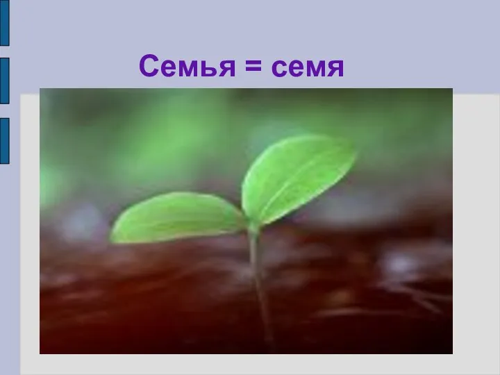 Семья = семя