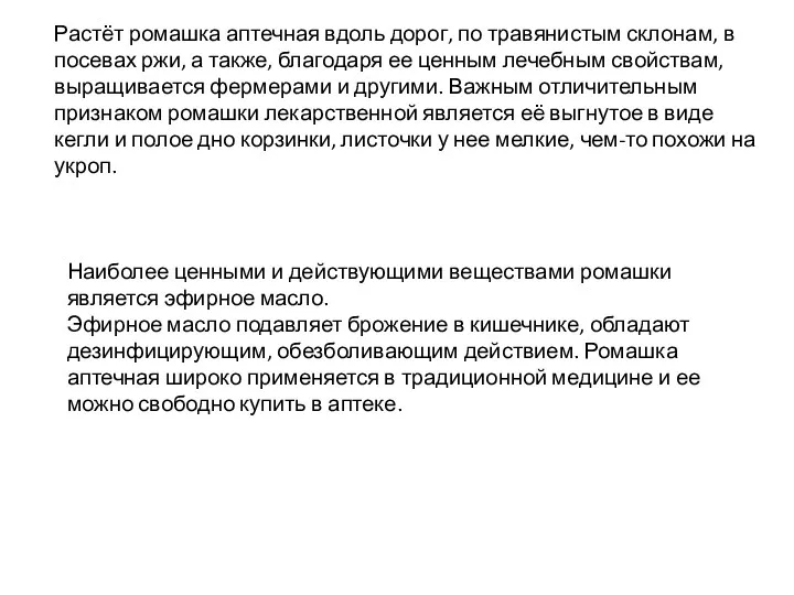 Растёт ромашка аптечная вдоль дорог, по травянистым склонам, в посевах