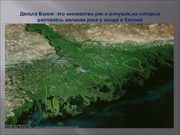 Дельта Волги- это множество рек и речушек,на которые распалась великая река у входа в Каспий