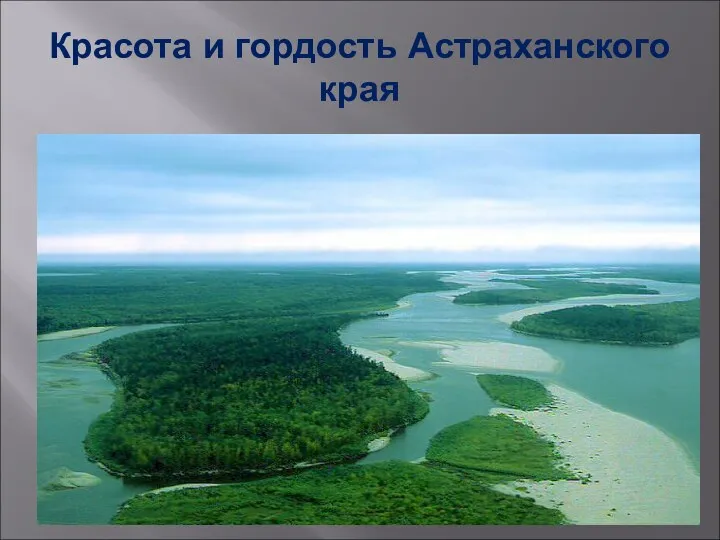Красота и гордость Астраханского края