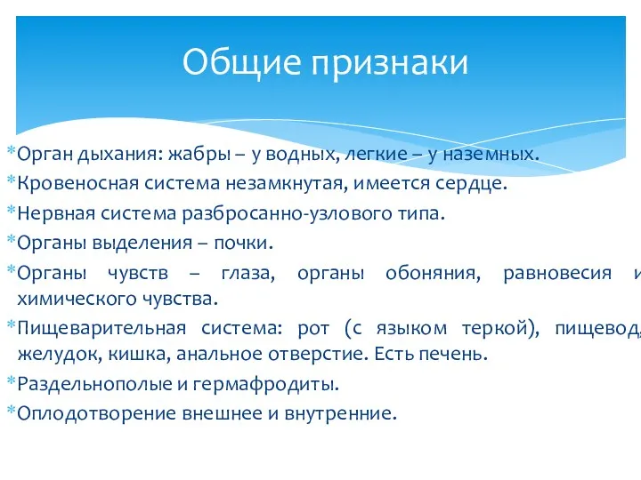 Орган дыхания: жабры – у водных, легкие – у наземных. Кровеносная система незамкнутая,