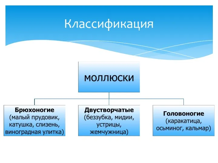 Классификация