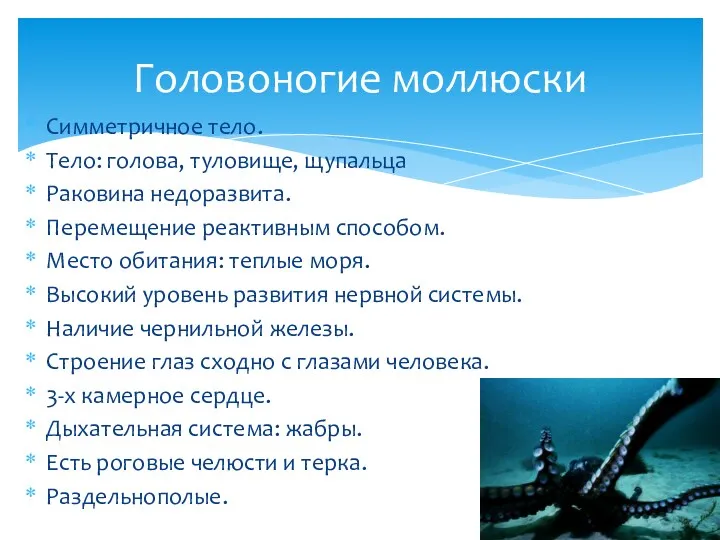 Симметричное тело. Тело: голова, туловище, щупальца Раковина недоразвита. Перемещение реактивным способом. Место обитания: