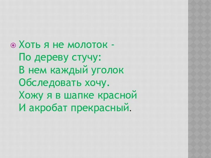 Хоть я не молоток - По дереву стучу: В нем каждый уголок Обследовать