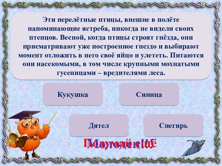 Кукушка Дятел Снегирь Синица Подумай ещё Молодец!!! Эти перелётные птицы,