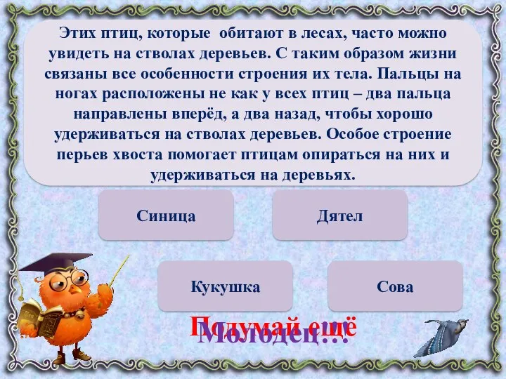 Синица Кукушка Сова Дятел Подумай ещё Молодец!!! Этих птиц, которые обитают в лесах,