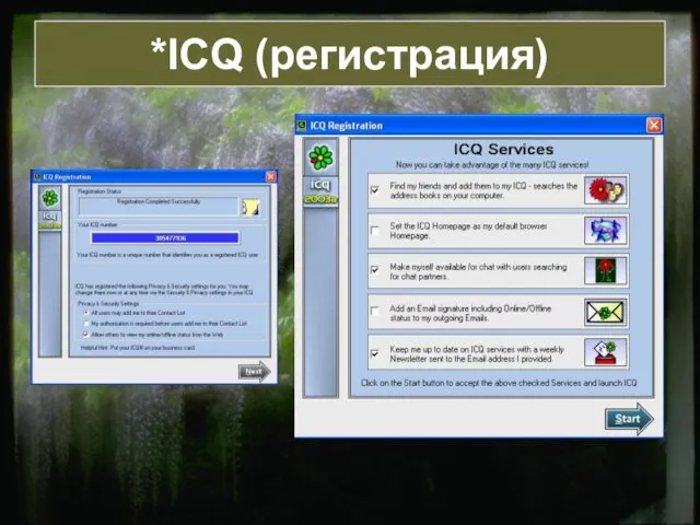 *ICQ (регистрация)