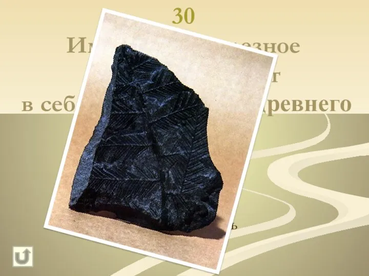 30 Именно это полезное ископаемое несет в себе запас энергии древнего Солнца Каменный уголь