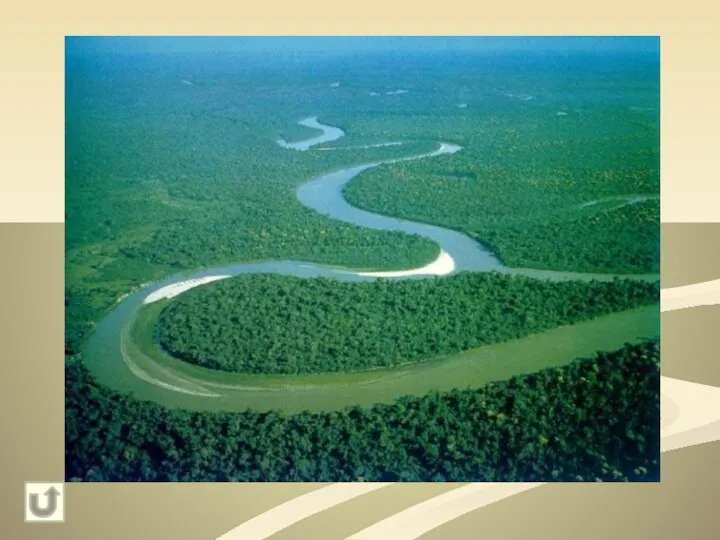10 Эта река имеет самый большой бассейн Амазонка, 7млн квадратных км