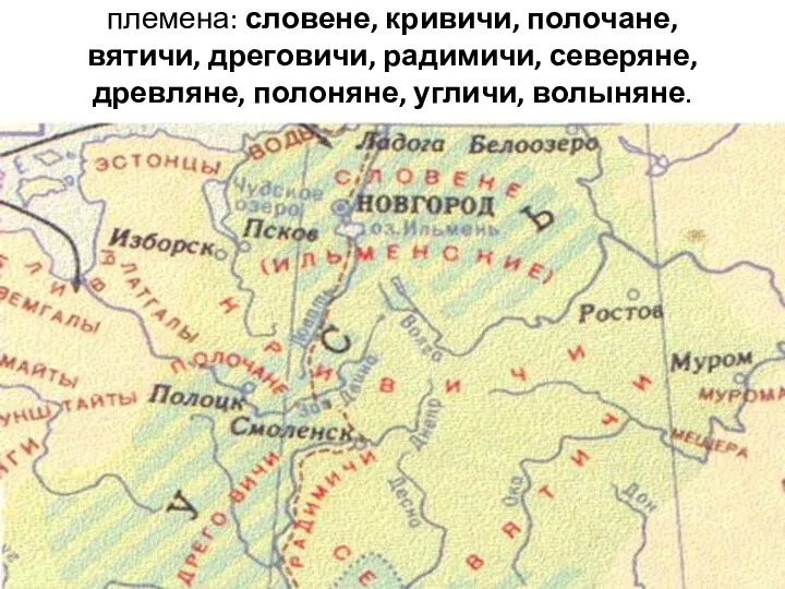 племена: словене, кривичи, полочане, вятичи, дреговичи, радимичи, северяне, древляне, полоняне, угличи, волыняне.