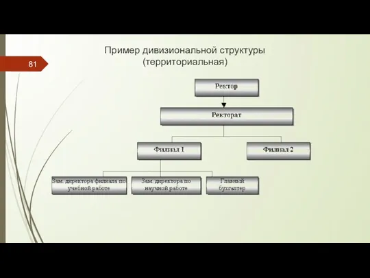 Пример дивизиональной структуры (территориальная)