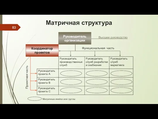 Матричная структура Координатор проектов Руководитель организации Проектная часть Высшее руководство Функциональная часть Матричные ячейки или группы