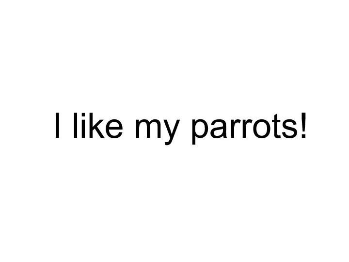 I like my parrots!