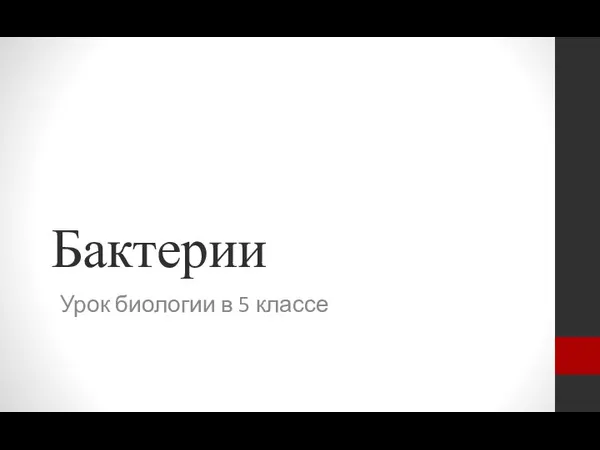 Бактерии Урок биологии в 5 классе