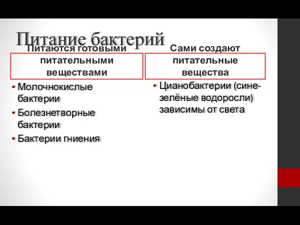 Питание бактерий Питаются готовыми питательными веществами Молочнокислые бактерии Болезнетворные бактерии