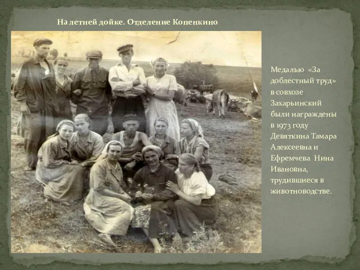 Медалью «За доблестный труд» в совхозе Захарьинский были награждены в 1973 году Девяткина