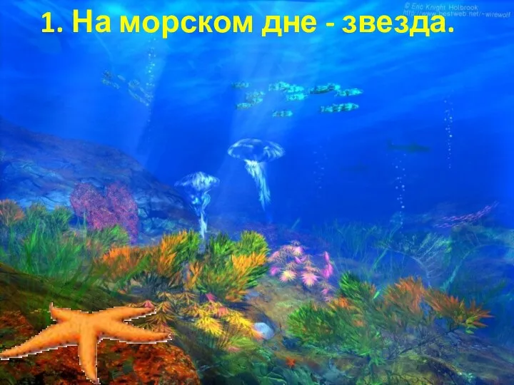 1. На морском дне - звезда.