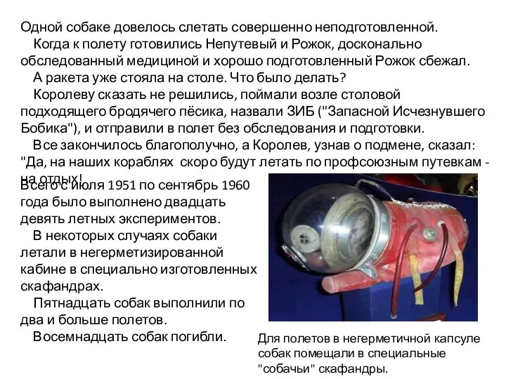 Для полетов в негерметичной капсуле собак помещали в специальные "собачьи"