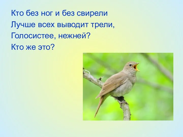 Кто без ног и без свирели Лучше всех выводит трели, Голосистее, нежней? Кто же это?