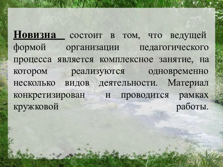 Новизна состоит в том, что ведущей формой организации педагогического процесса