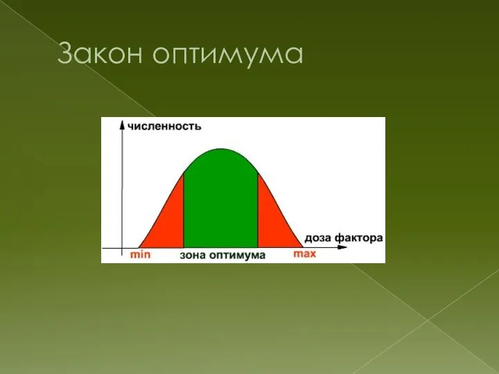 Закон оптимума