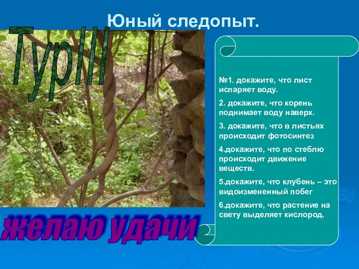 Юный следопыт. №1. докажите, что лист испаряет воду. 2. докажите,