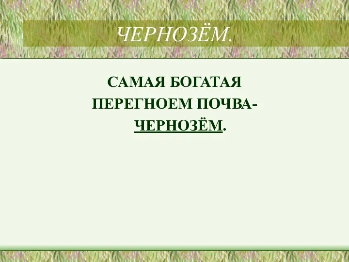 ЧЕРНОЗЁМ. САМАЯ БОГАТАЯ ПЕРЕГНОЕМ ПОЧВА- ЧЕРНОЗЁМ.