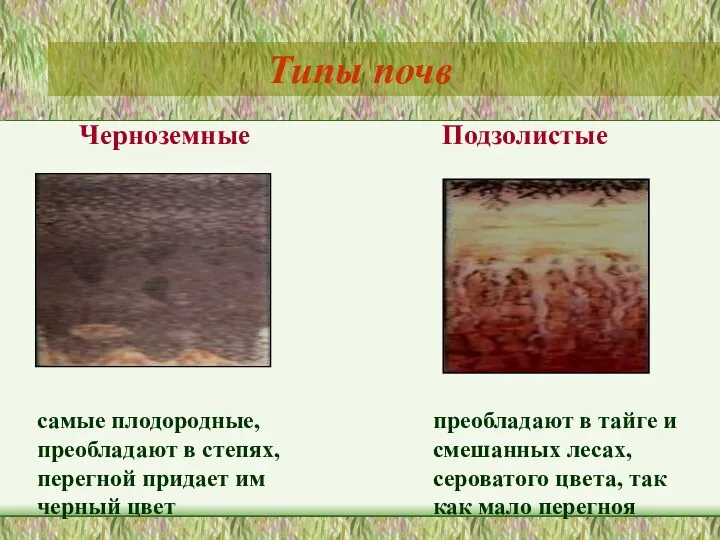 Типы почв Черноземные Подзолистые самые плодородные, преобладают в степях, перегной придает им черный