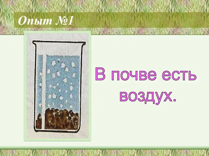 Опыт №1 В почве есть воздух.