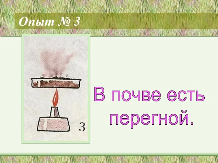 Опыт № 3 В почве есть перегной.