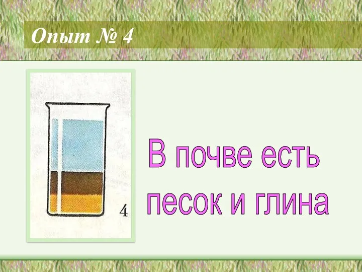 Опыт № 4 В почве есть песок и глина