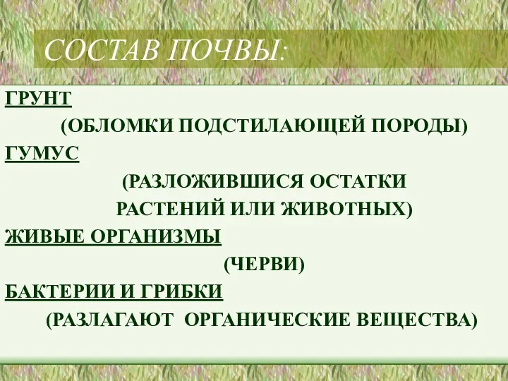 СОСТАВ ПОЧВЫ: ГРУНТ (ОБЛОМКИ ПОДСТИЛАЮЩЕЙ ПОРОДЫ) ГУМУС (РАЗЛОЖИВШИСЯ ОСТАТКИ РАСТЕНИЙ ИЛИ ЖИВОТНЫХ) ЖИВЫЕ