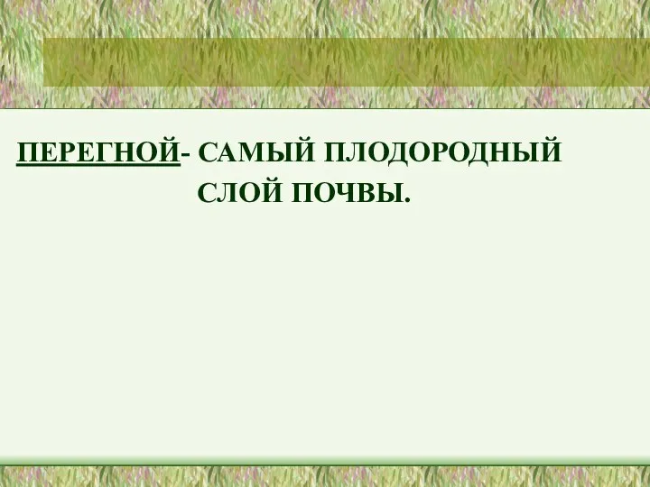 ПЕРЕГНОЙ- САМЫЙ ПЛОДОРОДНЫЙ СЛОЙ ПОЧВЫ.